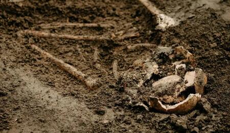 Milano, Cannabis, archeologia