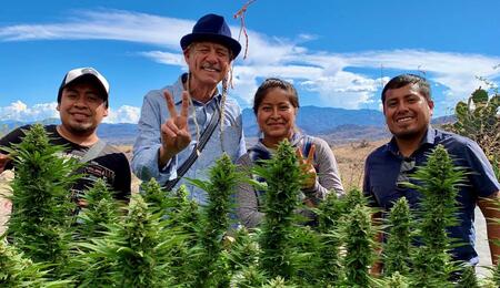 La nouvelle scène du cannabis au Mexique