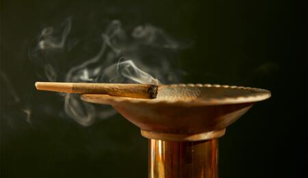 Mit mehr Automatisierung wird der Cannabis Pre-Roll-Sektor vor großen Veränderungen stehen, die viele Arbeitsplätze kostet.