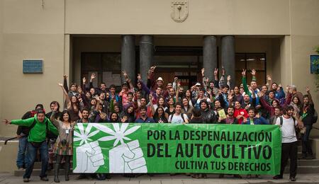 Criminalización de pacientes medicinales: El impacto en la comunidad cannábica chilena de la reforma a la ley 20.000. Foto: Nahuel Carvajal. CC3.0