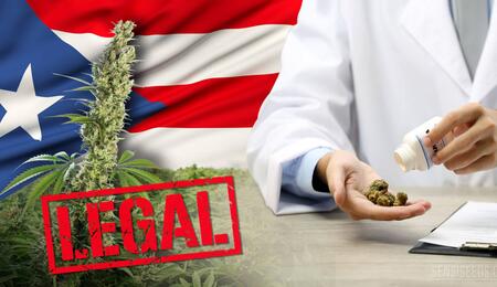 Puerto Rico a pleno con el cannabis medicinal