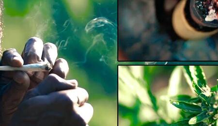 Une chanson pour célébrer la décriminalisation de l'usage de cannabis en Jamaïque