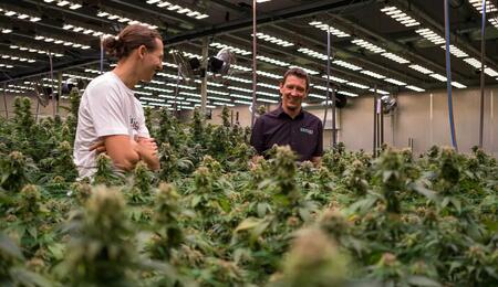 Below is the exclusive interview with Martin Anker of SANlight, where he shares extensively his experience and expertise on lamp use for growing Cannabis.
