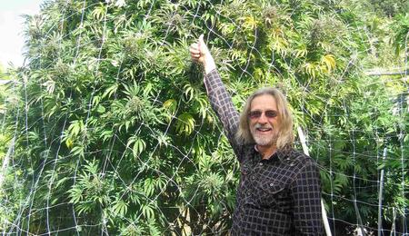 «We grow cannabis» Interview to splendid marijuana hero: Jorge Cervantes 
