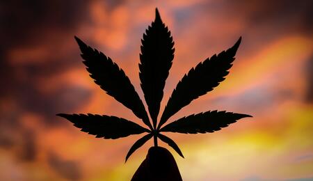 Ende des Cannabisverbots