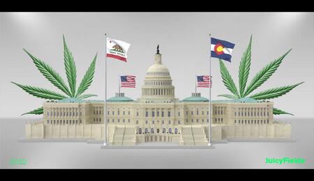 EE.UU. hacia una Ley Federal para Legislar el Cannabis con Colorado y California a la Vanguardia