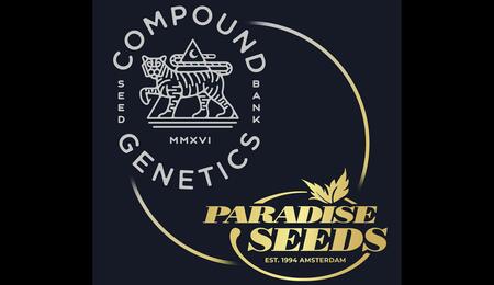 Paradise Seeds in Exclusive European Partnership