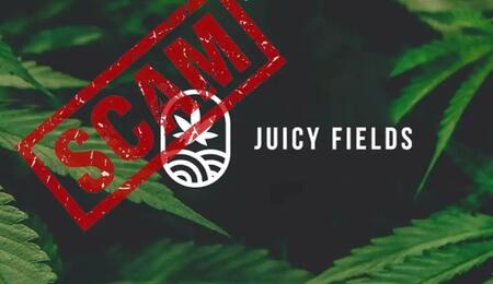 Der Fall Juicy Fields