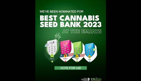 Royal Queen Seeds nominated for Best Seedbank in the US