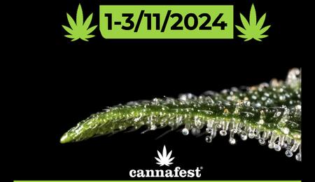 Al via oggi a Praga Cannafest 2024