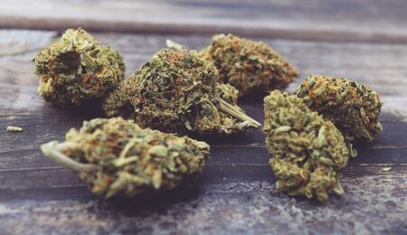 Schwarzmarkt-Analyse 2026:BKA und Ministerin Warke nziehen Bilanz