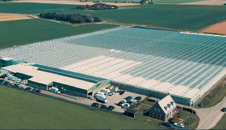 CanAdelaar, la più grande weed farm olandese vittima di furti, reclami e problemi legati agli odori