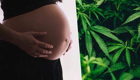 Cannabis während der Schwangerschaft?
