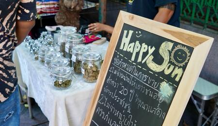 Warum boomt Cannabis zur Zeit so sehr in Thailand? 