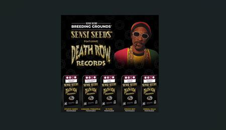 sensi seeds snoop dogg
