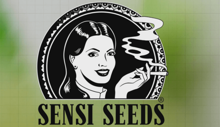 SENSI SEEDS RESEARCH – THE LAUNCH OF A NEW GENERATION OF CANNABIS STRAINS