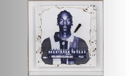 Snoop Doggy Dogg Genesis Burn