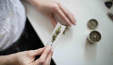 Britscotti, an indica-dominant hybrid, comes from the renowned U.K. cannabis culture brand Dank Of England (D.O.E.)