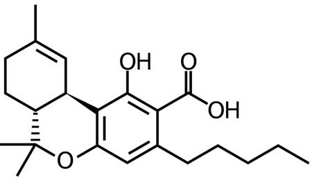 Acide tétrahydrocannabinolique (THCA)