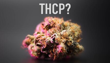 THCP – znáte novou „legální“ látku z konopí?