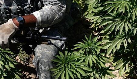 Marijuana for vets now possible with new amendment