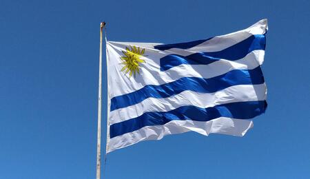 Uruguay 4 roky po legalizaci: polovina odbytu na legálním trhu