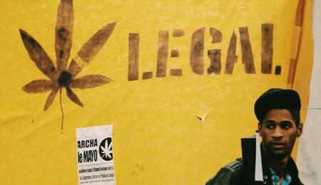 Uruguay Cannabis Legale