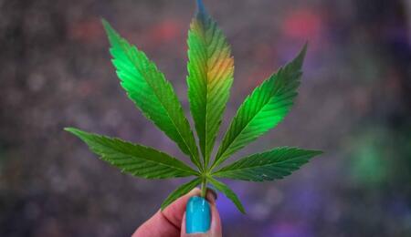 Cannabis vaporisieren! Tipps für Praktiker