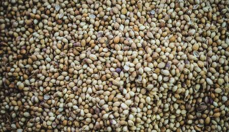 upcoming changes will significantly alter the existing framework governing hemp seed legality