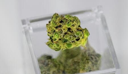 terpenes are volatile organic hydrocarbons that can undergo significant transformations under extreme heat.