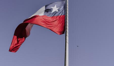 PROCAMED, or the Medicinal Cannabis Program, is a crucial initiative for ensuring safe and equitable access to medicinal cannabis in Chile