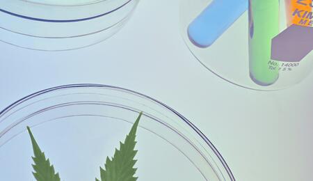 What are Cannabinoids?