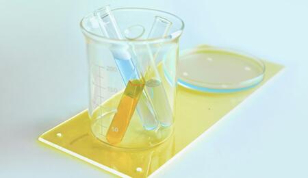 Cannabis tissue culture is revolutionising how we preserve and propagate cannabis genetics