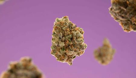 HHC is a semi-synthetic cannabinoid (SSC) created through a chemical transformation of CBD 