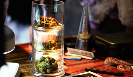 Plan Druida, is an anti-drug initiative launched by the Barcelona Guardia Urbana