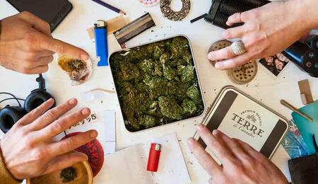 Uruguay's marijuana regulation has proven significantly more effective than law enforcement in removing large quantities of smuggled cannabis from circulation