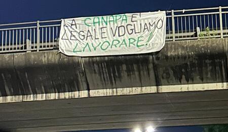 "La canapa è legale. Vogliamo lavorare": protesta pacifica per la chiarezza