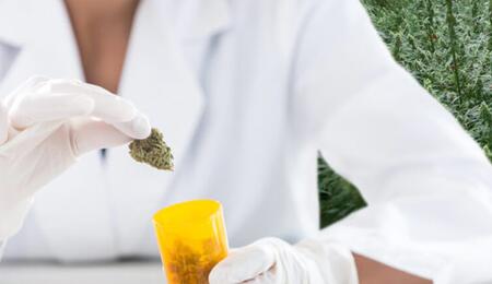 ¿A Qué Medicamentos Podría Sustituir el Cannabis?