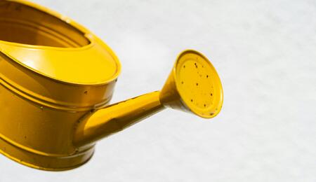 Flushing cleanses the plants of harmful chemicals that they may still be holding