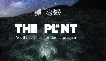 The documentary The Pl*nt is a must-watch for anyone interested in the science, history, and culture of cannabis