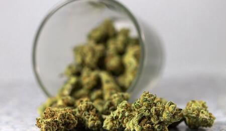 Wie Cannabis den Hormonhaushalt beeinflusst