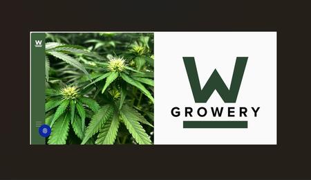 growery