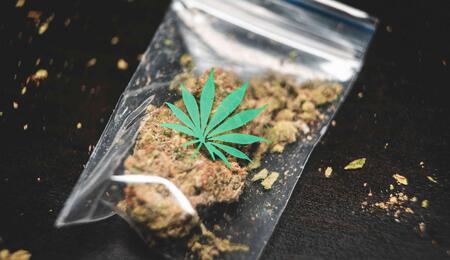 cannabis flowers will no longer be covered by the GKV compulsory health insurance scheme, which serves about 90% of Germans