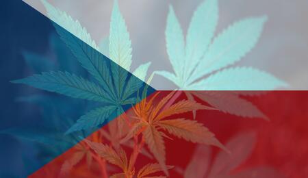 legalizace marihuany v ČR