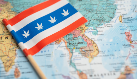 Thailand legalisiert Cannabis… teilweise