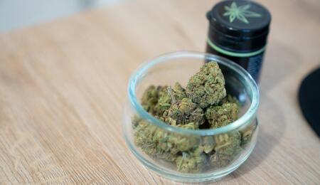 Cannabis y sistema endocannabinoide: ¿un “adaptógeno” natural?
