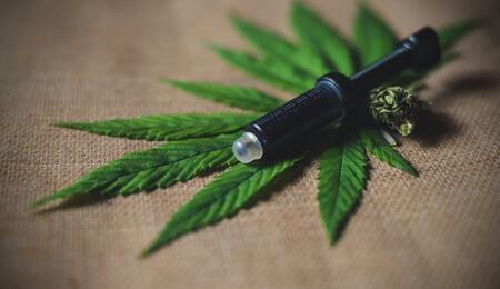 Una jeringuilla de dosificación oral sobre una hoja de cannabis verde y fresca. La imagen ilustra la importancia de la precisión en la toma de CBD para la epilepsia y su relación con la biodisponibilidad analizada en la revisión de Silva et al.