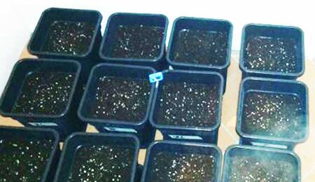 Come allestire una grow room