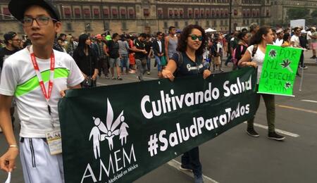 AMEM: la asociación del cannabis medicinal en México.