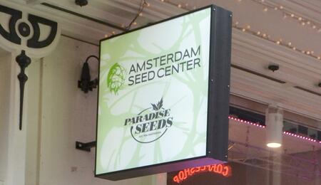 Amsterdam Seed Center